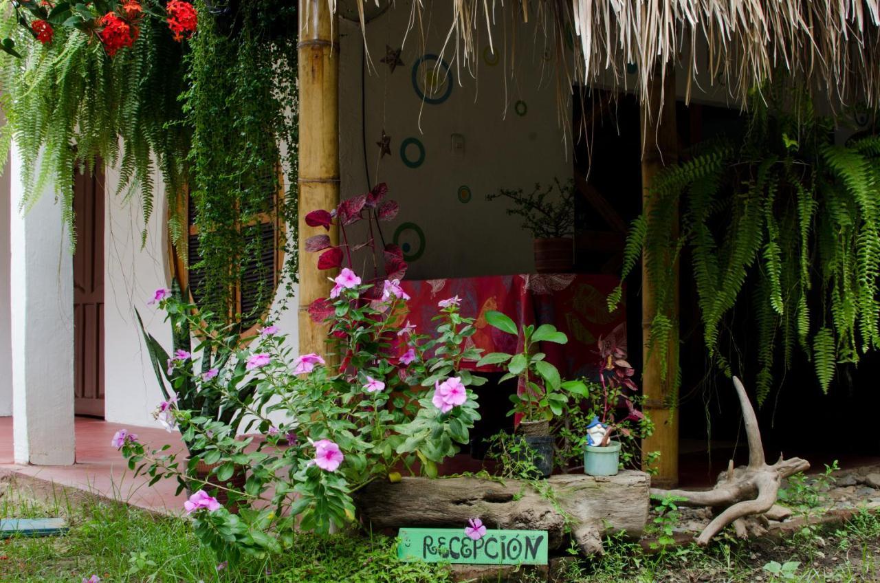 Hostal Corazon De Tagua Palomino Exteriör bild