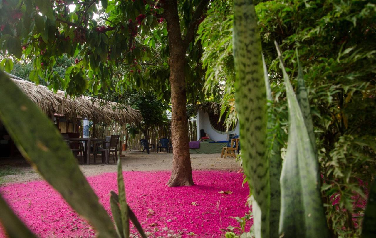 Hostal Corazon De Tagua Palomino Exteriör bild