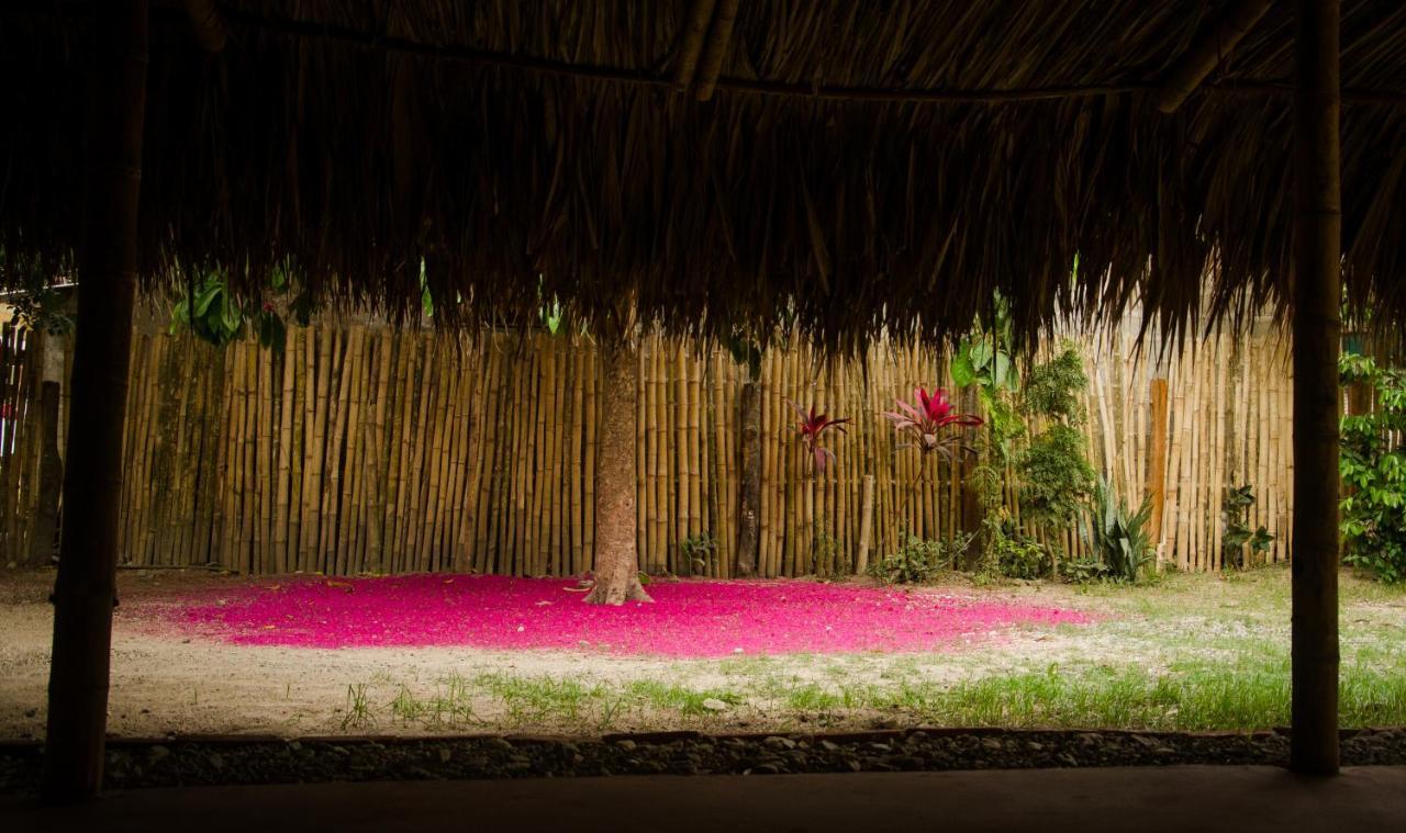 Hostal Corazon De Tagua Palomino Exteriör bild