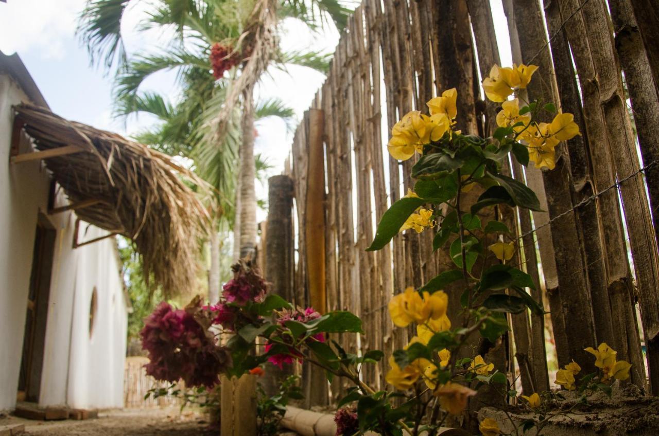 Hostal Corazon De Tagua Palomino Exteriör bild