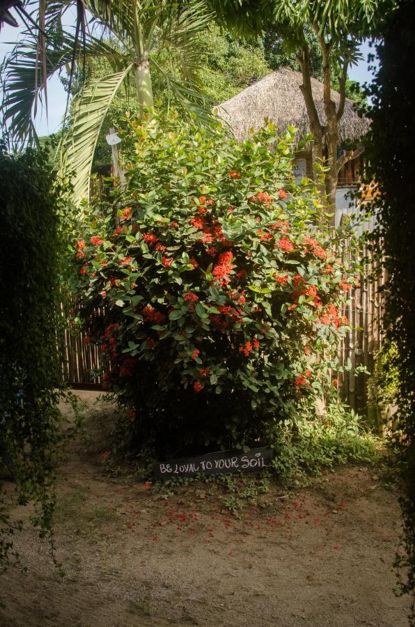 Hostal Corazon De Tagua Palomino Exteriör bild